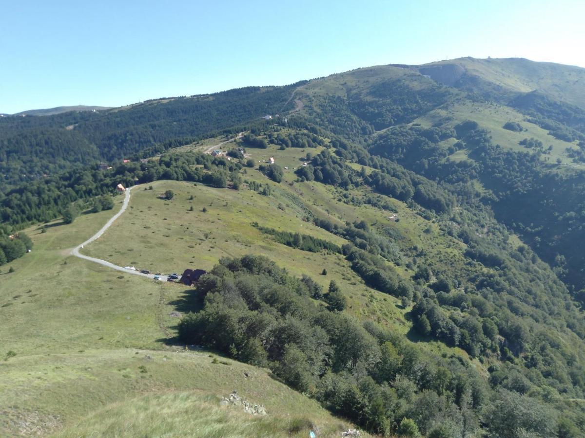 Villa Vikendica Vila Despotovic Kopaonik Exterior foto