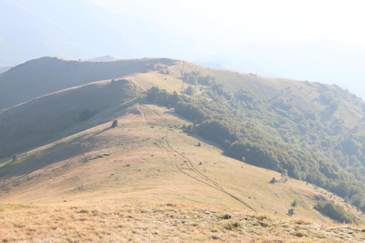Vikendica Vila Despotovic Kopaonik Exterior foto