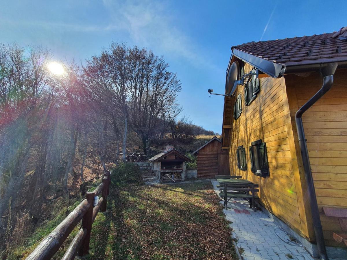 Villa Vikendica Vila Despotovic Kopaonik Exterior foto