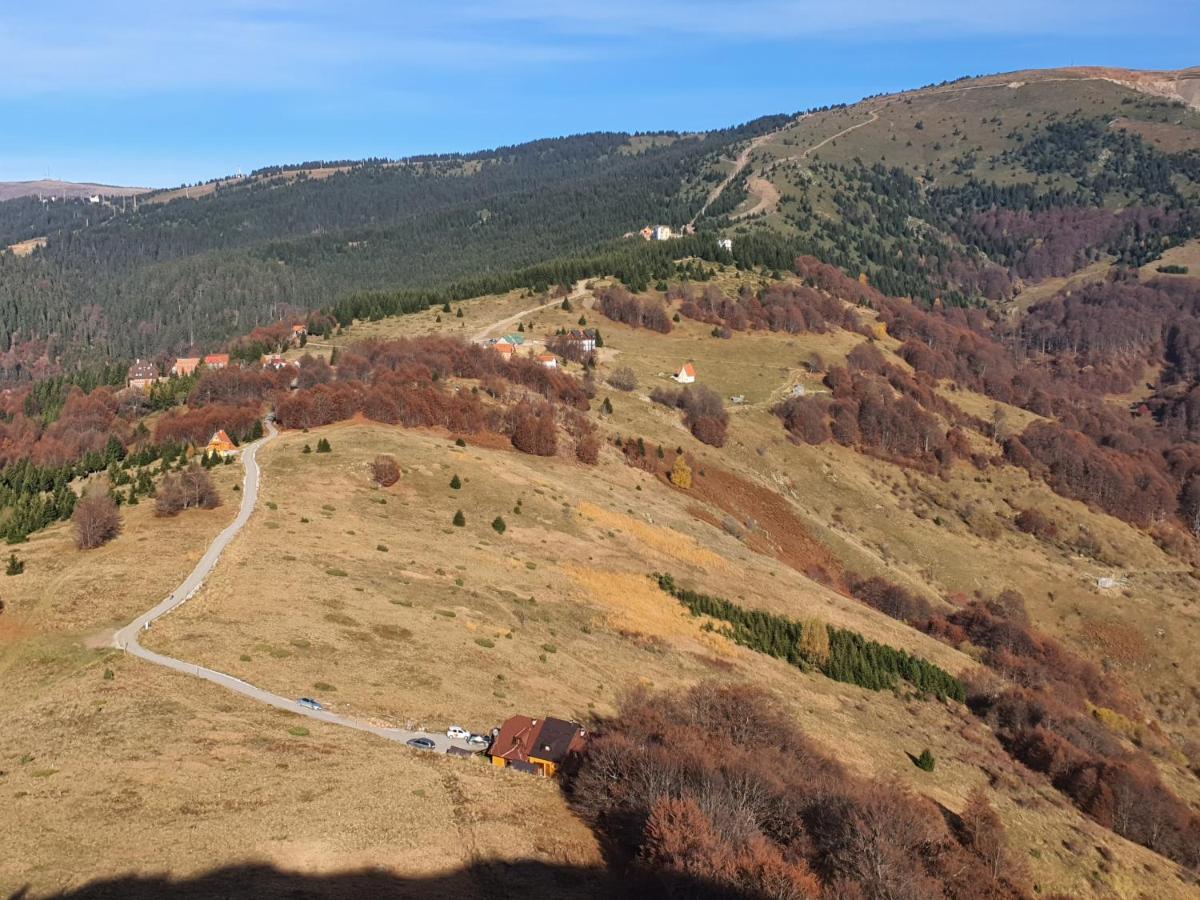 Villa Vikendica Vila Despotovic Kopaonik Exterior foto