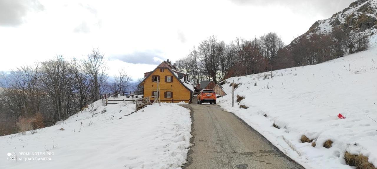 Vikendica Vila Despotovic Kopaonik Exterior foto
