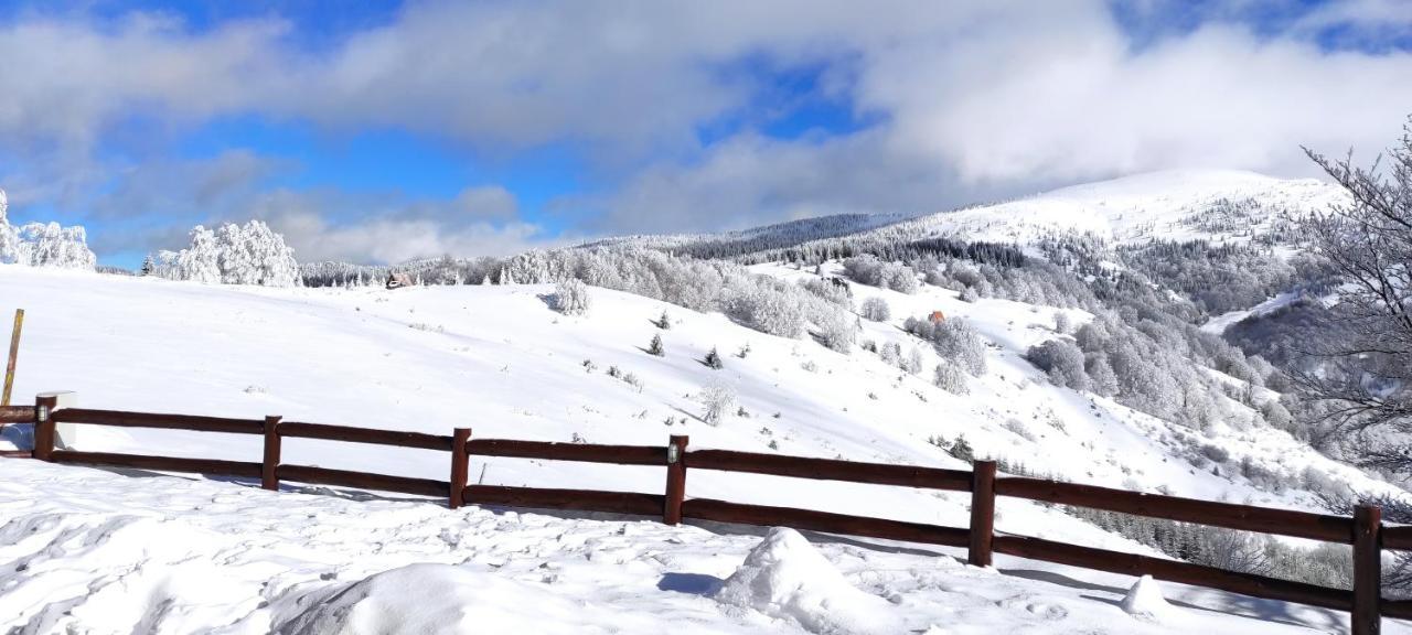 Villa Vikendica Vila Despotovic Kopaonik Exterior foto