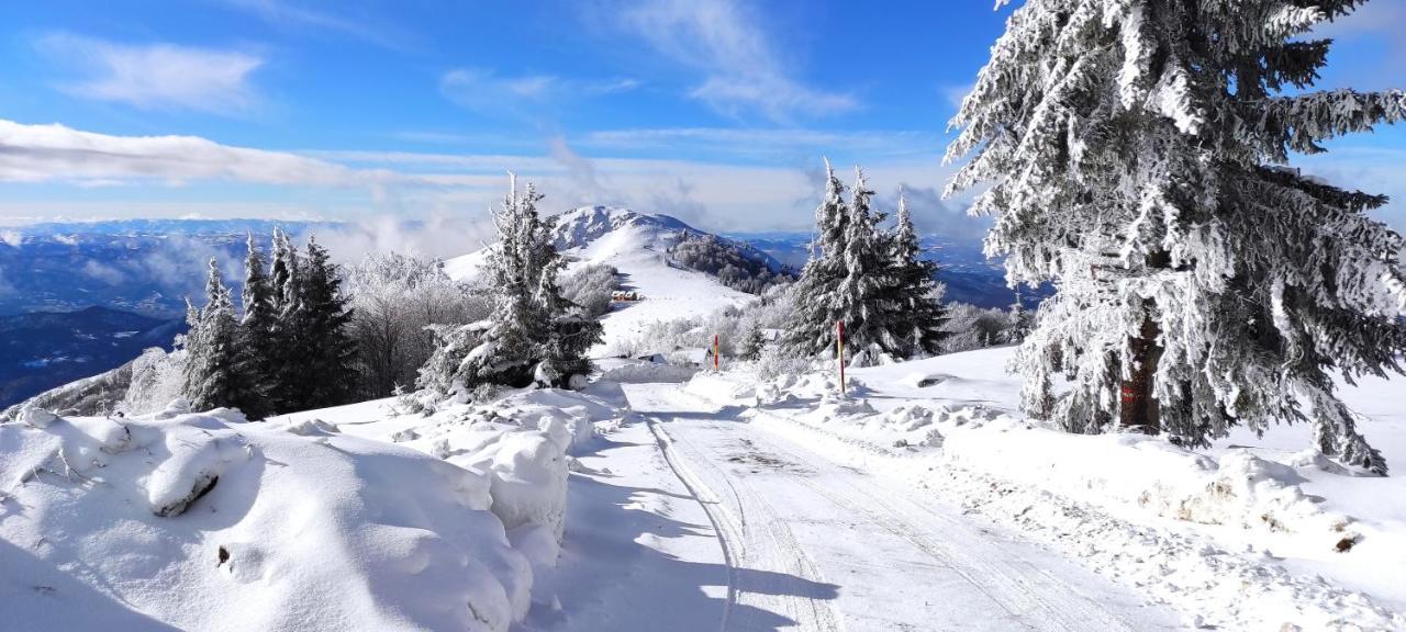 Vikendica Vila Despotovic Kopaonik Exterior foto