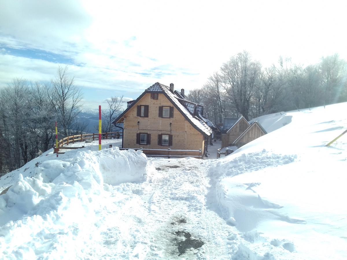 Villa Vikendica Vila Despotovic Kopaonik Exterior foto