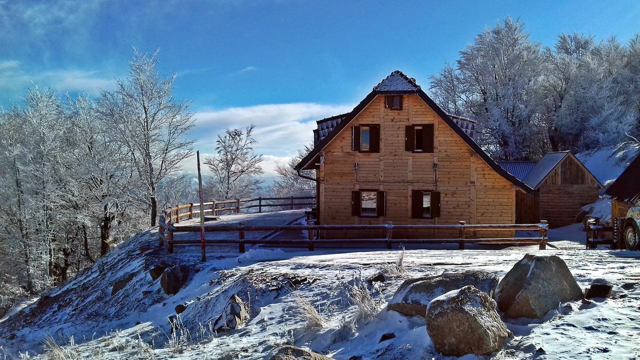 Villa Vikendica Vila Despotovic Kopaonik Exterior foto