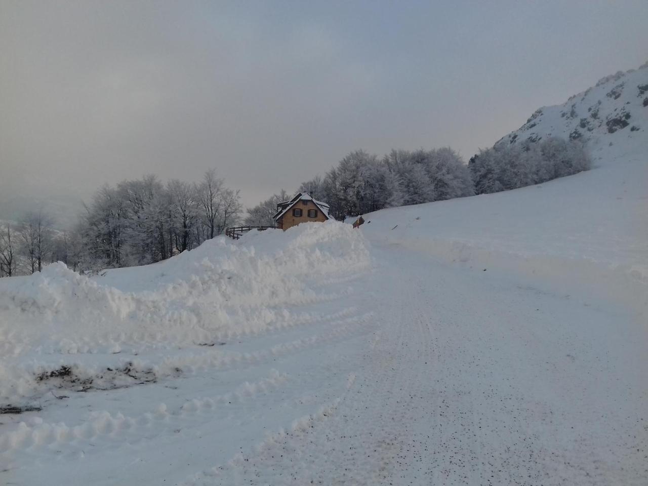 Villa Vikendica Vila Despotovic Kopaonik Exterior foto