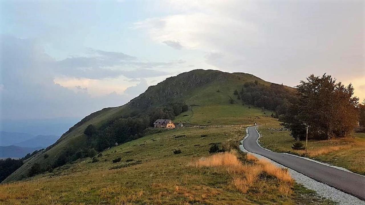 Villa Vikendica Vila Despotovic Kopaonik Exterior foto